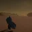 Desert Veteran