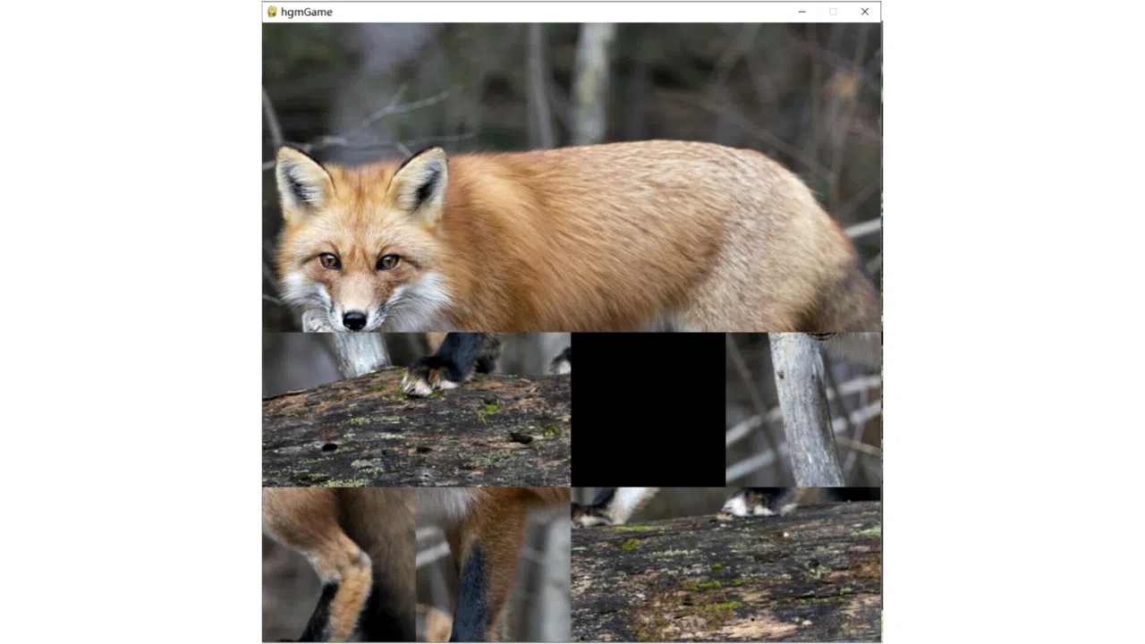 hgmGame-fox Screenshot 3