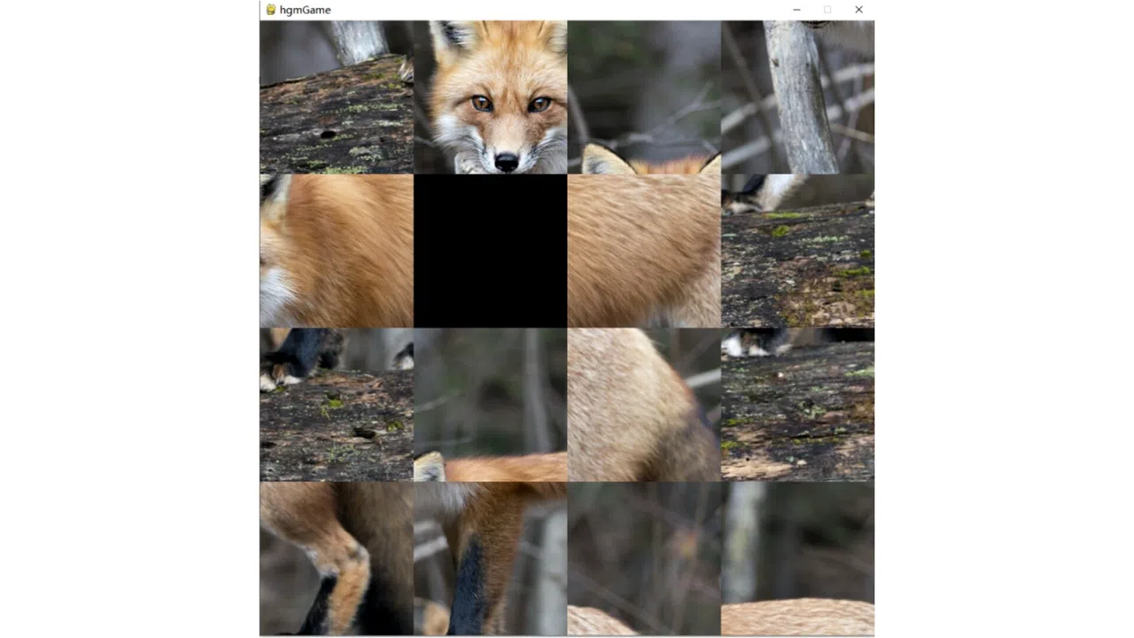 hgmGame-fox Screenshot 1
