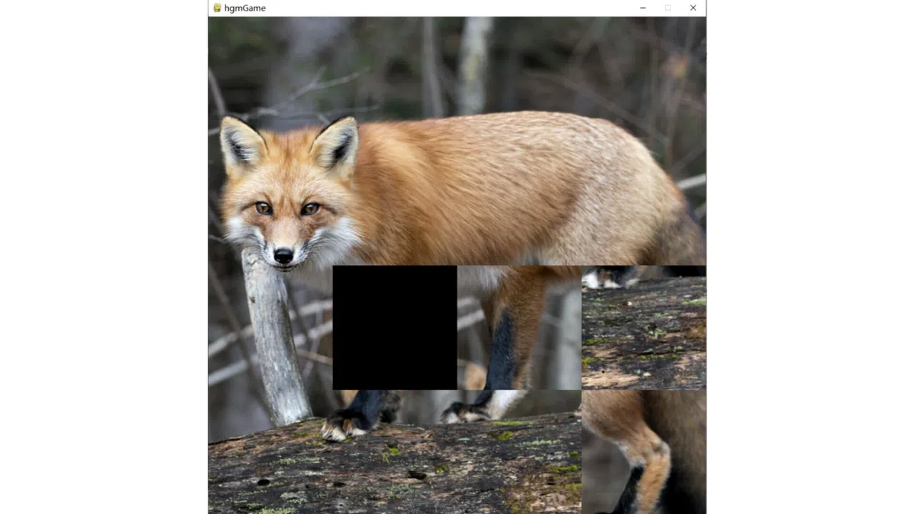 hgmGame-fox Screenshot 2