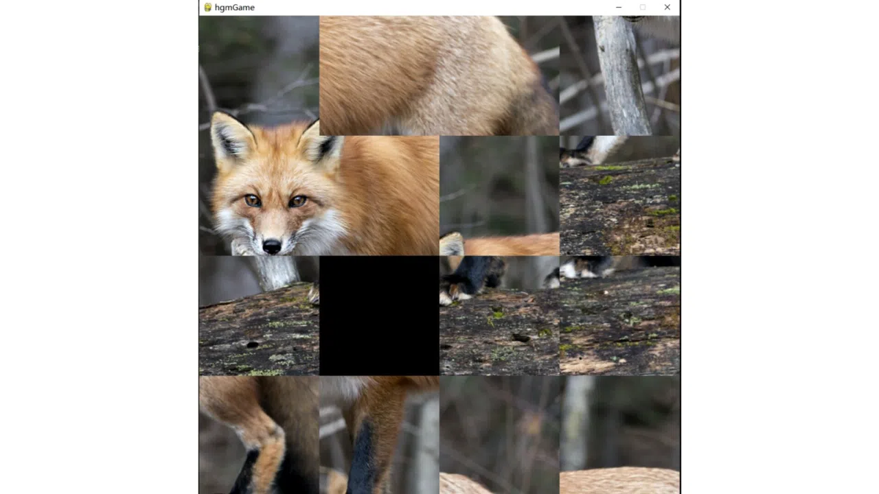 hgmGame-fox Screenshot 0