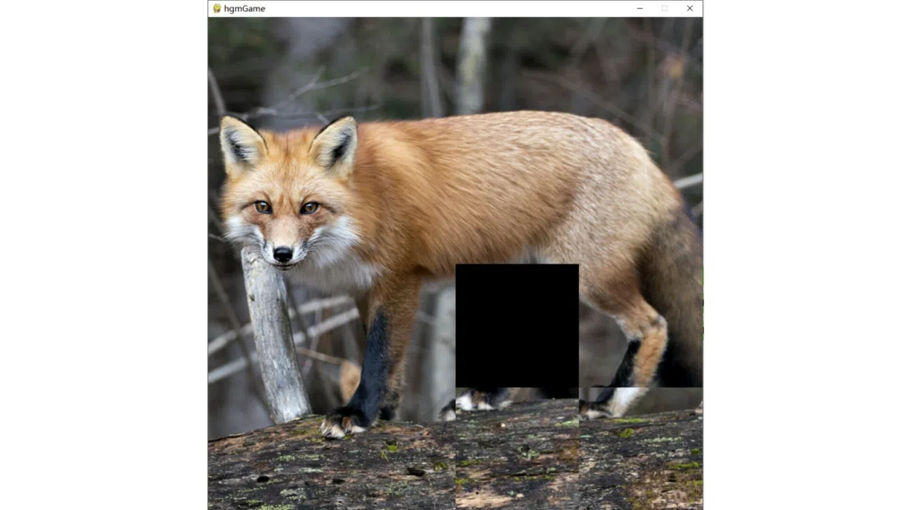 hgmGame-fox Screenshot 4