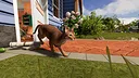 House Flipper 2 - Pets DLC Screenshot 0