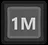 1M