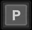 P icon
