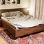 Expert in bed icon