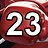 23 level completed