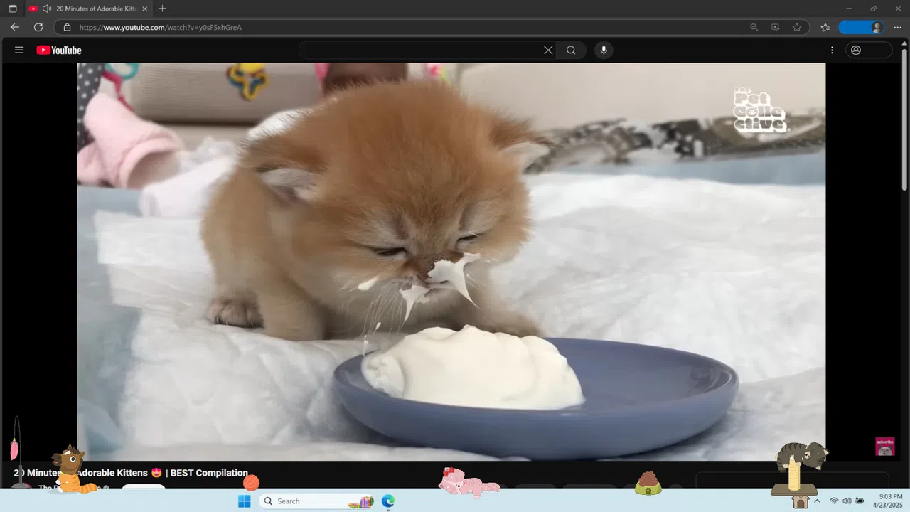 Digital Desktop Cats Screenshot 1