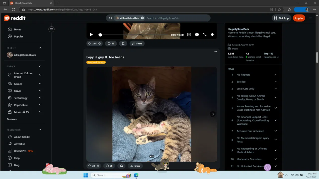 Digital Desktop Cats Screenshot 3