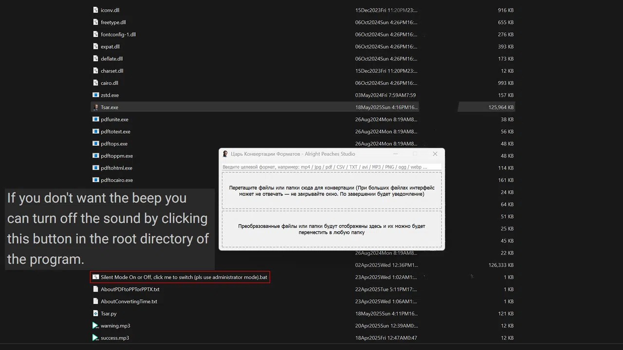 Format Converter Tsar Screenshot 8