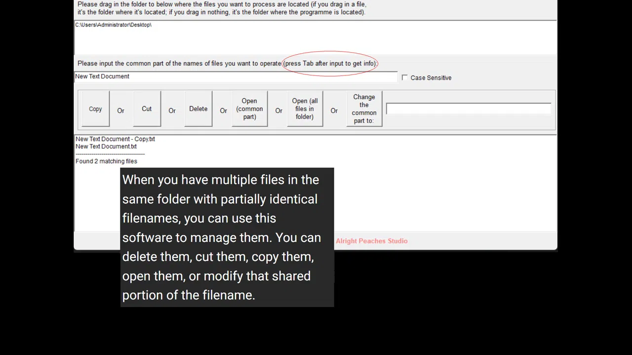 Format Converter Tsar Screenshot 1