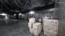 Synthetic Captive Screenshot 5
