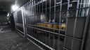 Synthetic Captive Screenshot 1
