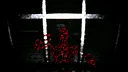 Cell Servant Screenshot 2