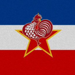 Lijepa naša domovino icon