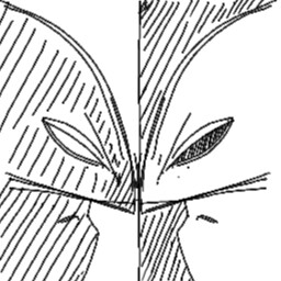 Facsimile of a shadow icon