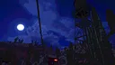 Cat Named Mojave Demo Screenshot 8