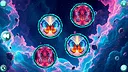 Space Memory: Butterflies Screenshot 0