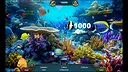Sea Life Explorer Collector's Edition Screenshot 3