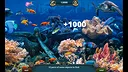 Sea Life Explorer Collector's Edition Screenshot 8