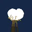 Where did you find this cotton? icon