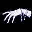 Consecrated Hands icon