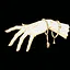 Guardian of Delirium icon