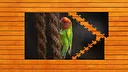 Whispers of Wings Jigsaw Puzzles - Expansion Pack 1 Screenshot 0