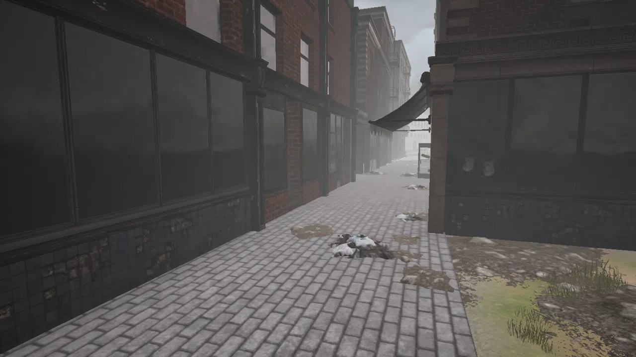 Sanitism Screenshot 4