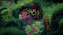 Mandrake Screenshot 6