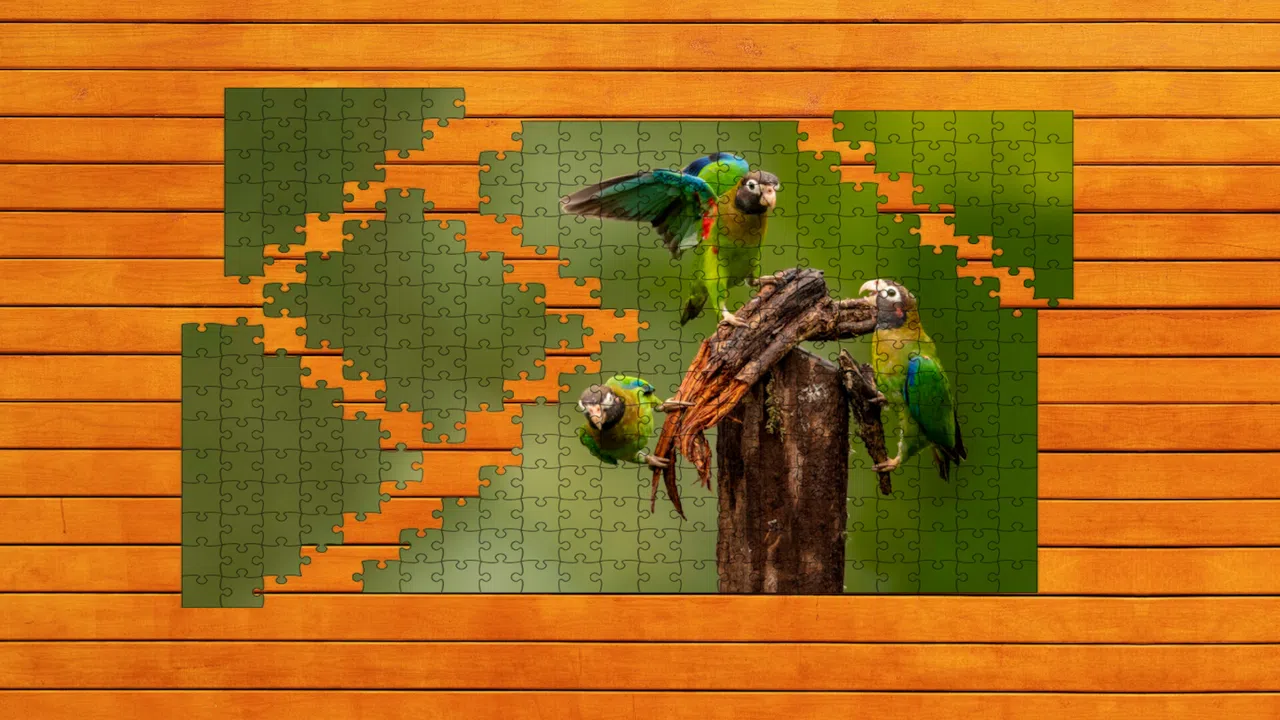Whispers of Wings Jigsaw Puzzles - Expansion Pack 2 Screenshot 0