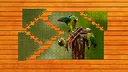 Whispers of Wings Jigsaw Puzzles - Expansion Pack 2 Screenshot 0