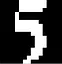Fluke icon