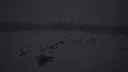 Last Drone War Screenshot 6