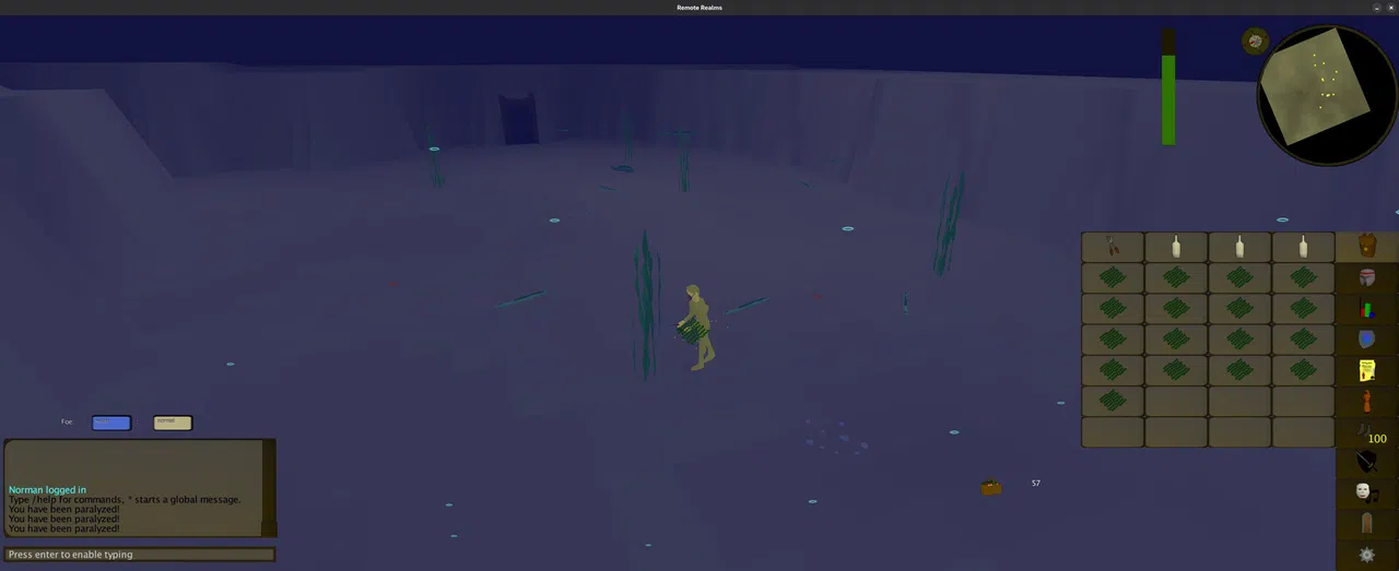 Remote Realms Screenshot 1