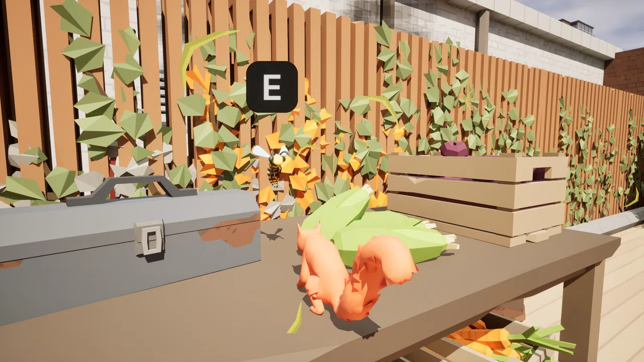 Léo Screenshot 2