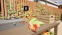 Léo Screenshot 2