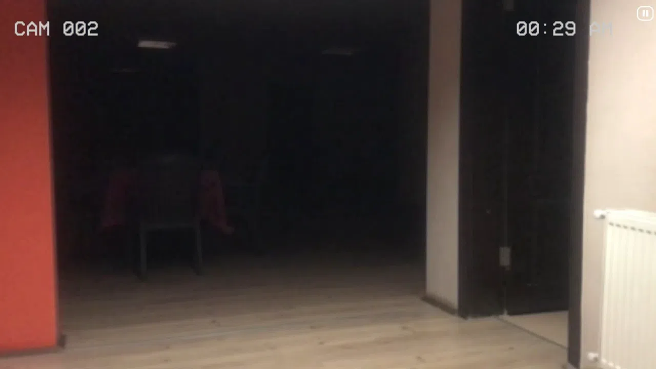 Paranormal Inc. Screenshot 3