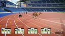 Animal Run Relay Screenshot 2