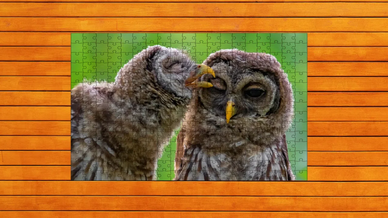 Whispers of Wings Jigsaw Puzzles - Expansion Pack 4 Screenshot 0
