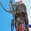 MammothKill icon