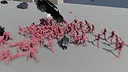 A Gorilla vs 100 Men Simulator Screenshot 0