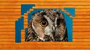 Whispers of Wings Jigsaw Puzzles - Expansion Pack 3 Screenshot 0