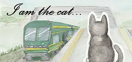 I am the cat