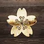 Spring Blossom icon