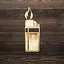 Flame of Desire icon