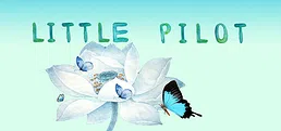 Little pilot
