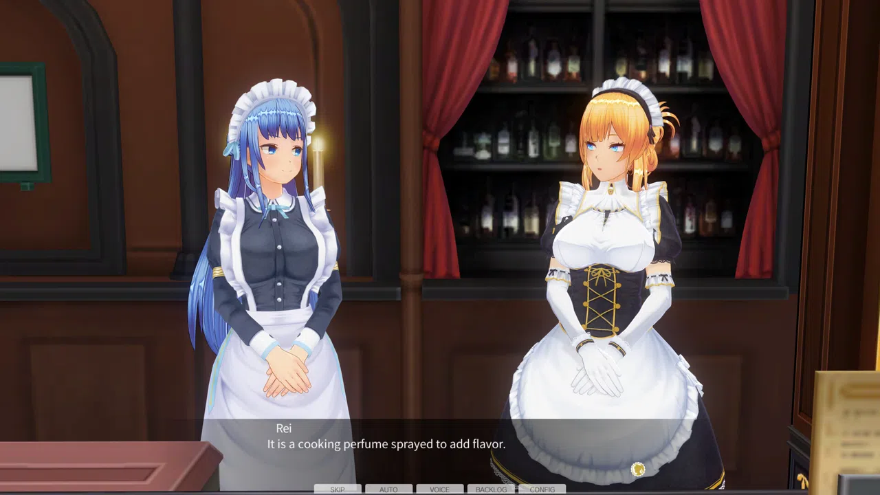 CUSTOM ORDER MAID 3D2 Overly Serious and Reserved Proper Lady GP-01 Screenshot 11
