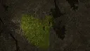 Tainted by the Stars: The Dead Among Us Screenshot 10