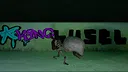 Bones: Wandering Soul Screenshot 2